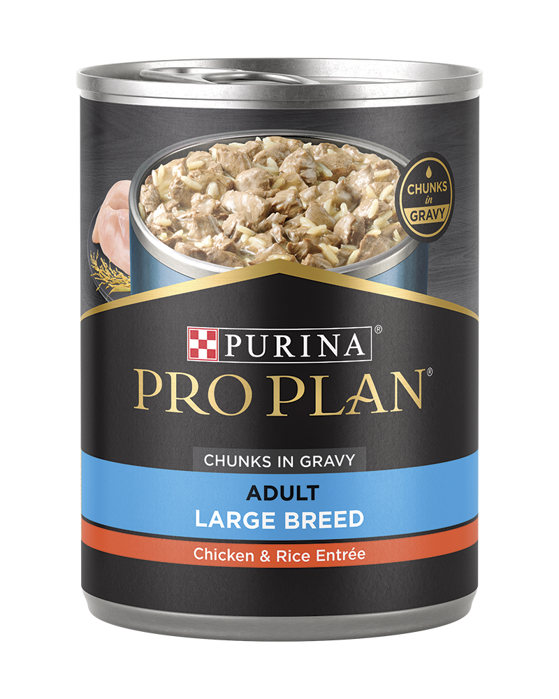 Best large breed puppy wet 2025 food