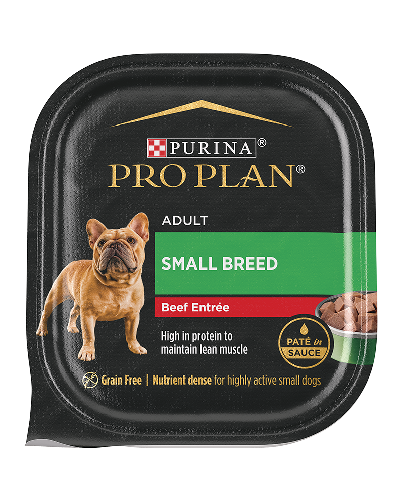 Pro plan small breed adult discount
