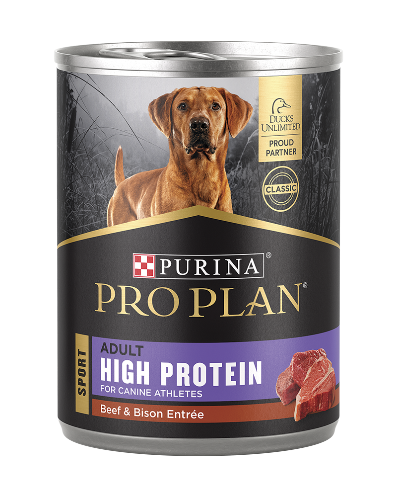 Beef pro dog food website hot sale