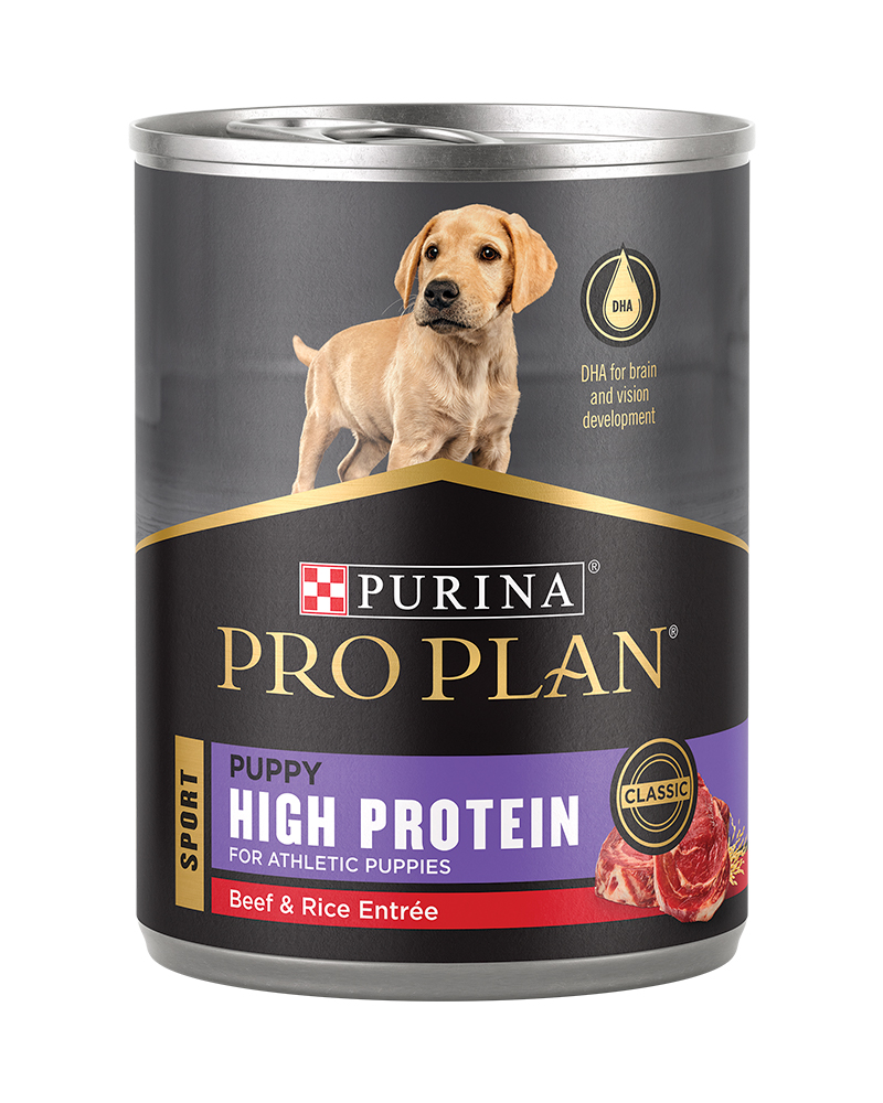 Pro Plan Sport Puppy High Protein Beef Rice Wet Dog Food Purina