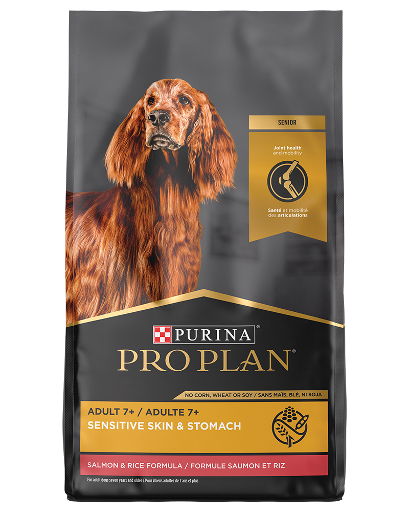 Pro Plan Senior Skin & Salmon Dog Food | Purina