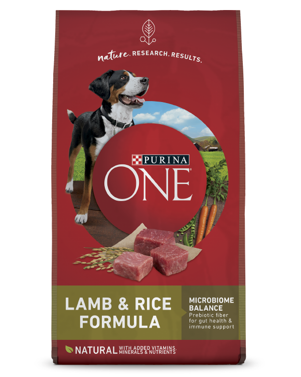 Purina ONE Lamb & Rice Dry Dog Food