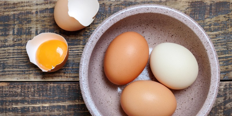 Can Cats Eat Eggs?