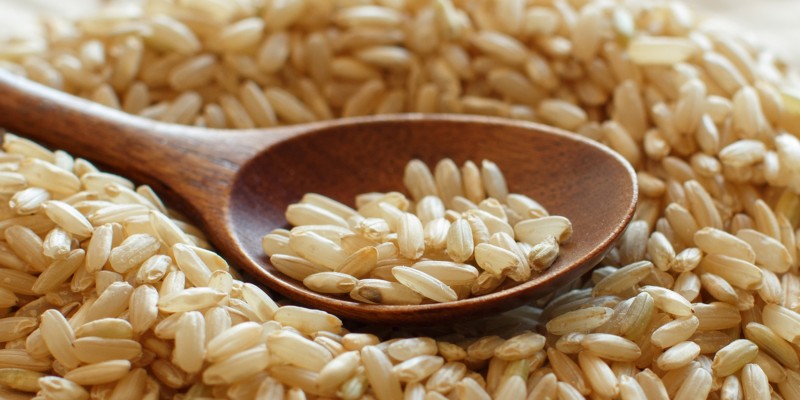 Is it OK for Dogs to Eat Brown Rice?