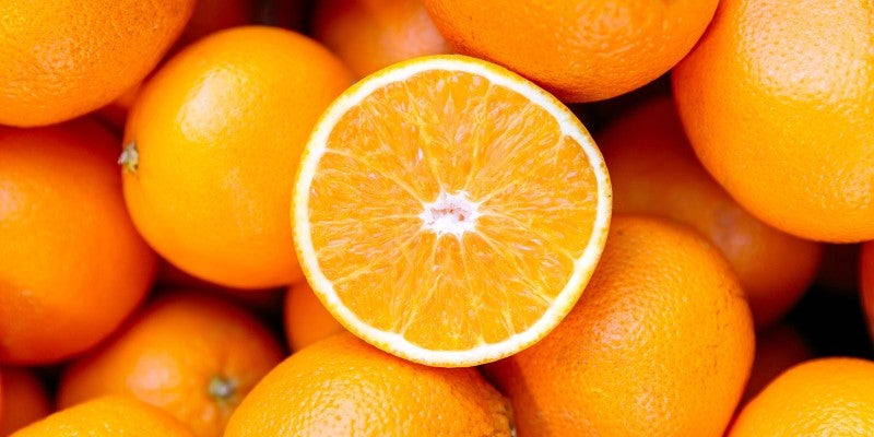 Is it OK for Dogs to Eat Oranges?