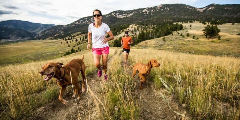 How Much Exercise Does a Dog Need?