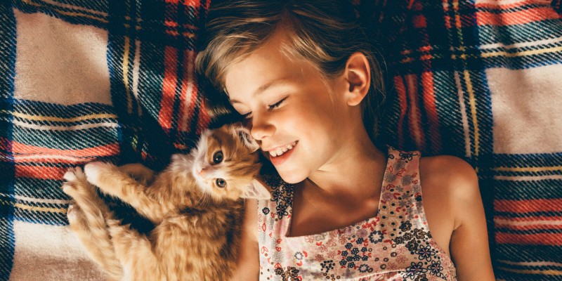 Can Cats Be Emotional Support Animals?