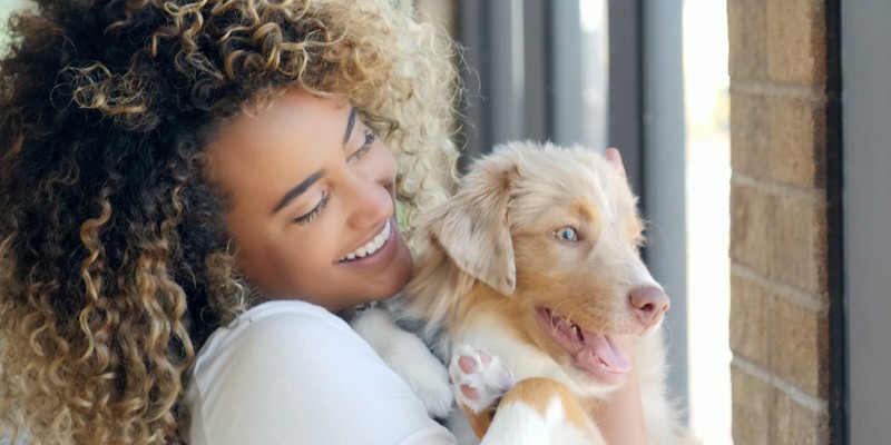 How Often to Feed a Puppy?
