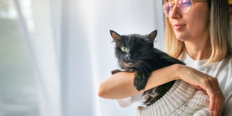 Adopting & Caring for a Deaf, Blind or Special Needs Cat