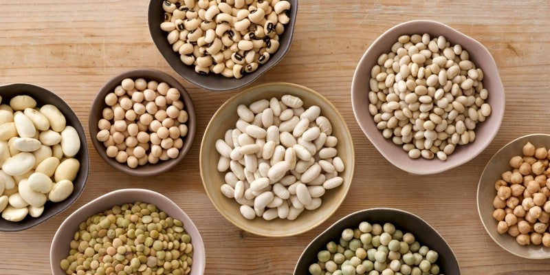 Is it OK for Dogs to Eat Beans?