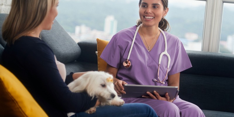 Signs and Symptoms of High Blood Pressure in Dogs