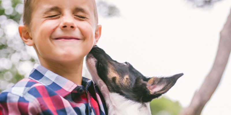 Tips for Introducing a New Puppy to a New Home & to Other Dogs & Cats