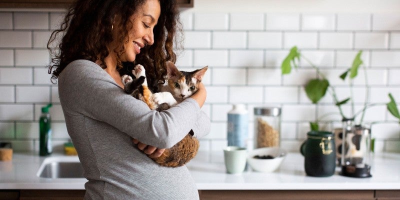 Cat Litter Box & Pregnancy