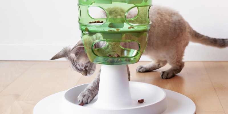 https://www.purina.com/sites/default/files/styles/2x1_small/public/2023-02/should-i-use-a-cat-feeding-toy.jpg?itok=YK5PeQn0