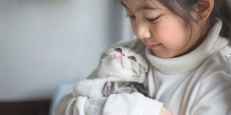 When to Switch From Kitten Food to Cat Food