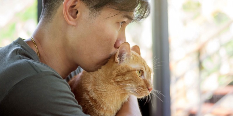 Why Do Cats Purr?
