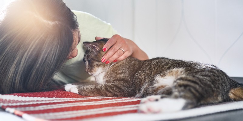 What Does it Mean When Your Cat Throws Up Blood?
