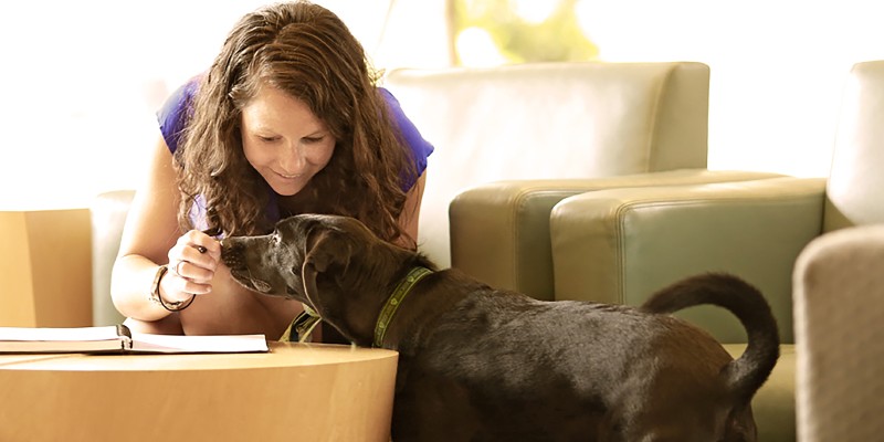 8 Ways to Celebrate Take Your Dog to Work Day