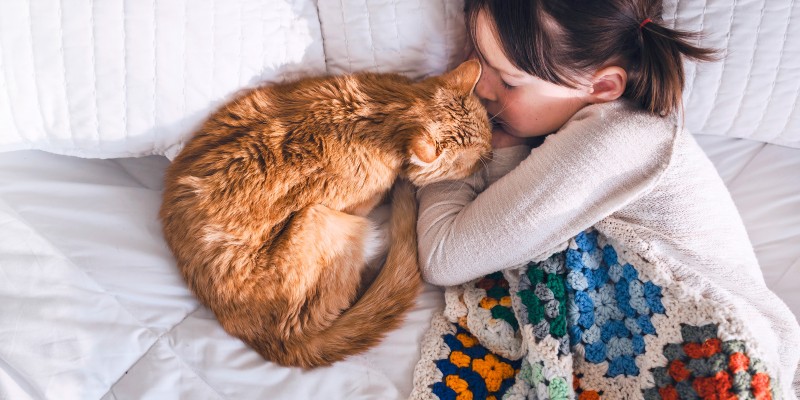 Blood in Cat Poop