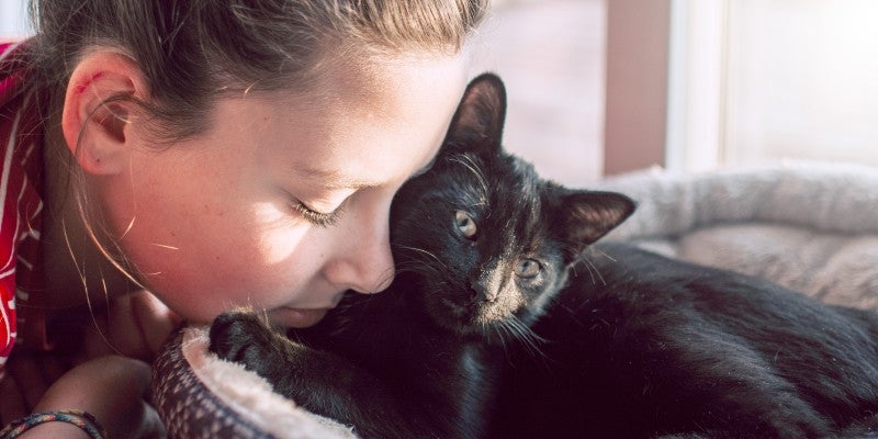 Do Cats Get Depressed? Here’s What You Should Know