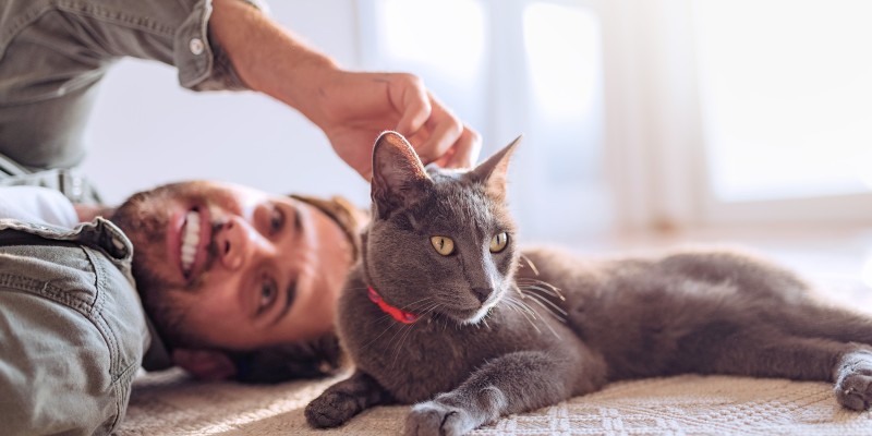 Why Are My Cat’s Eyes Watering?