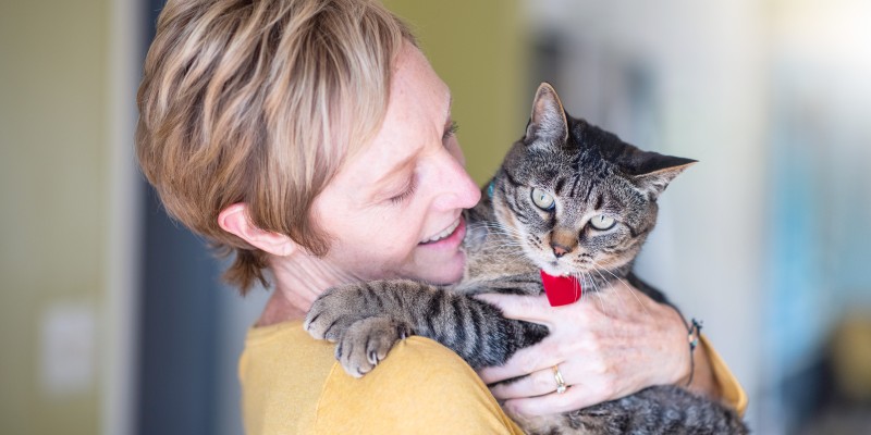 Do Flat-Faced Cats Have Breathing Problems?