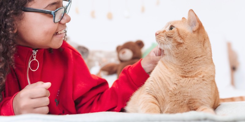 Does My Cat Have Allergies?