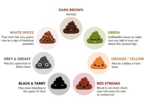 poop chart color infographic