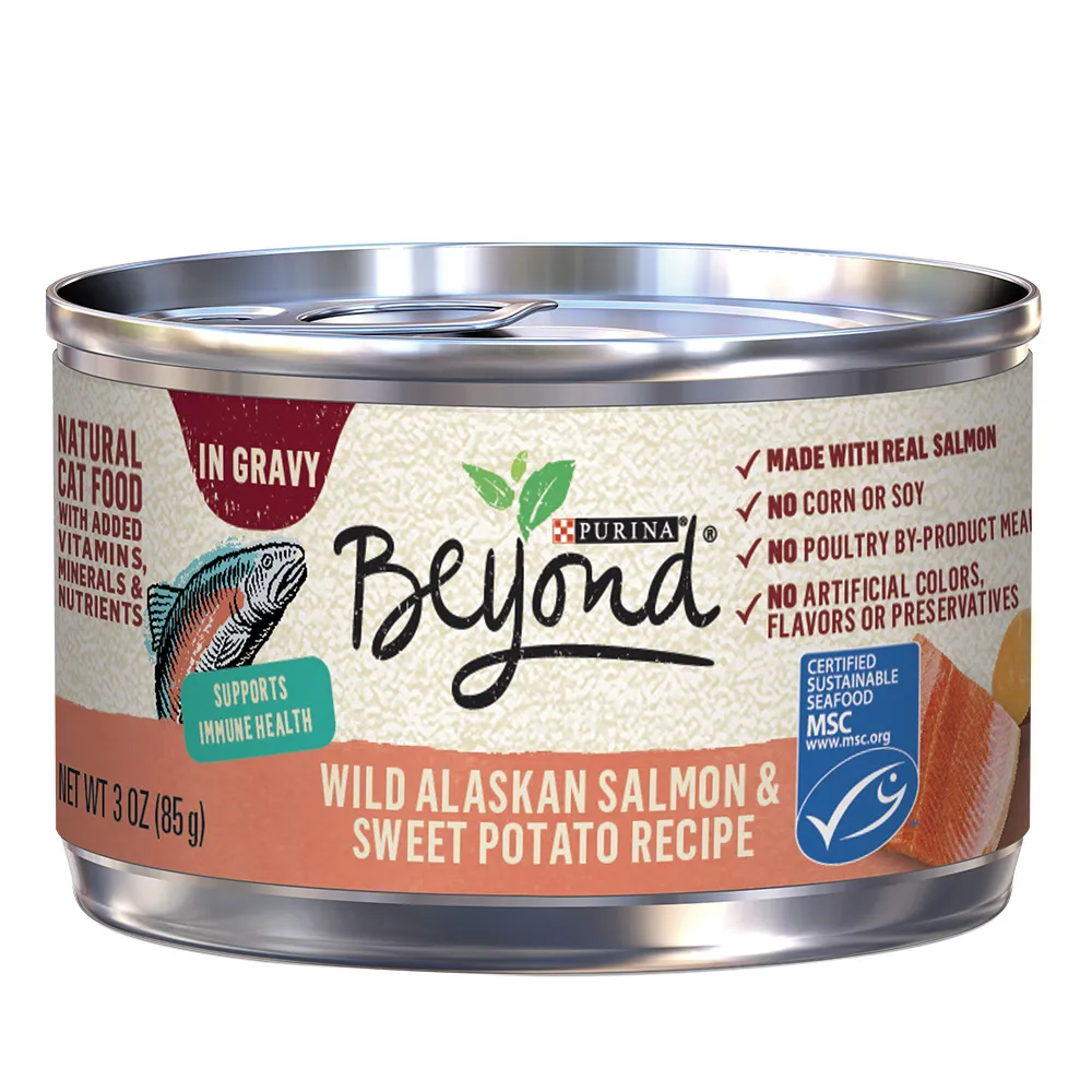 Beyond Wild Alaskan Salmon & Sweet Potato Recipe in Gravy Wet Cat Food