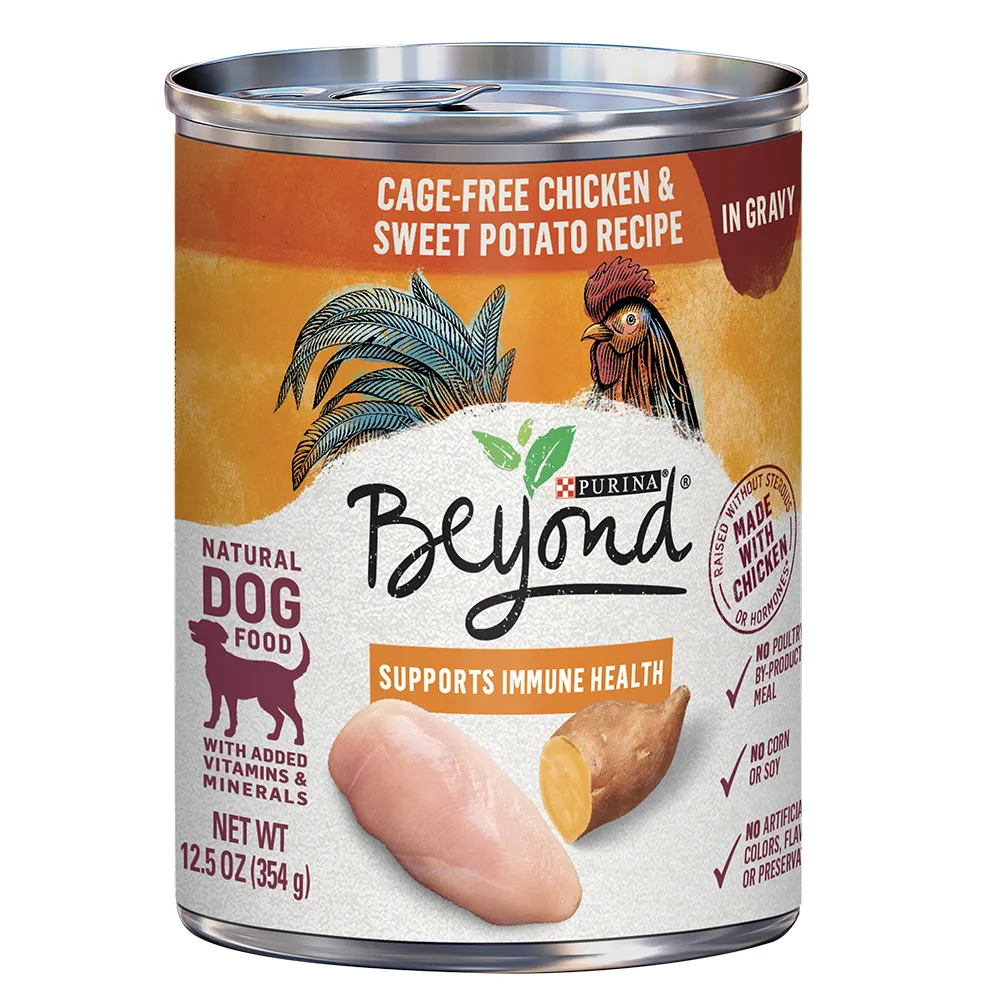 Beyond Cage-Free Chicken & Sweet Potato Recipe in Gravy Wet Dog Food