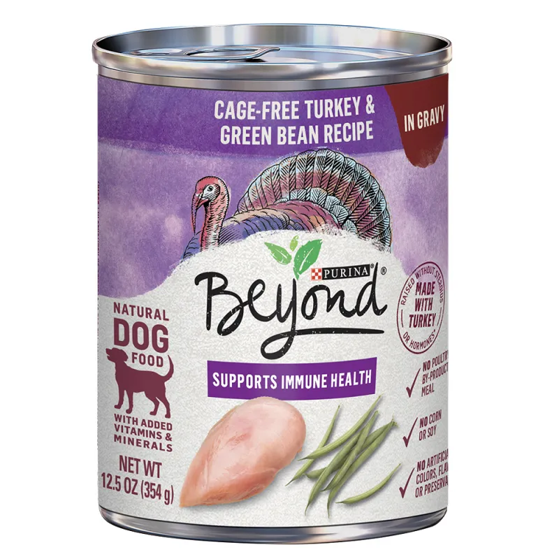 Beyond Cage-Free Turkey & Green Bean Recipe in Gravy Wet Dog Food