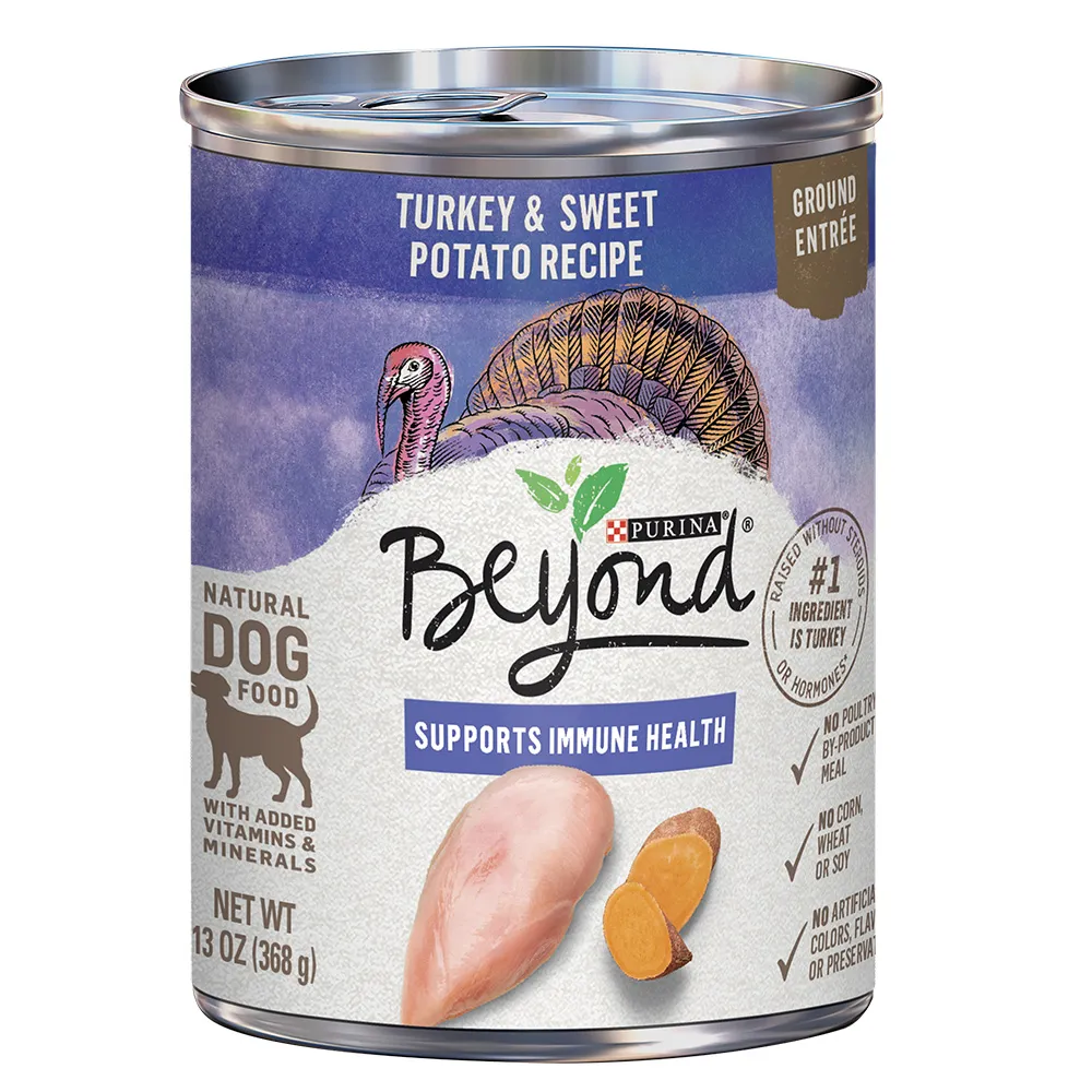 Beyond Turkey & Sweet Potato Recipe Ground Entrée Wet Dog Food