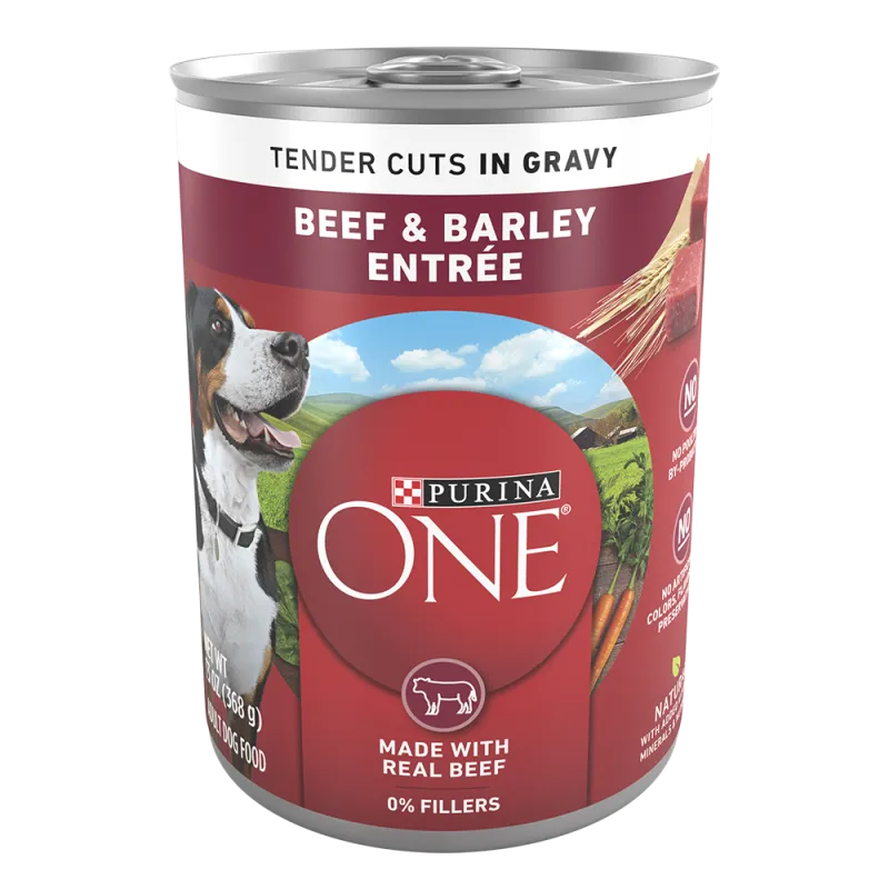 Purina ONE Beef & Barley Entrée Tender Cuts In Gravy Wet Dog Food 