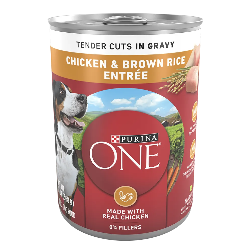 Purina ONE Chicken & Brown Rice Entrée Tender Cuts in Gravy Wet Dog Food
