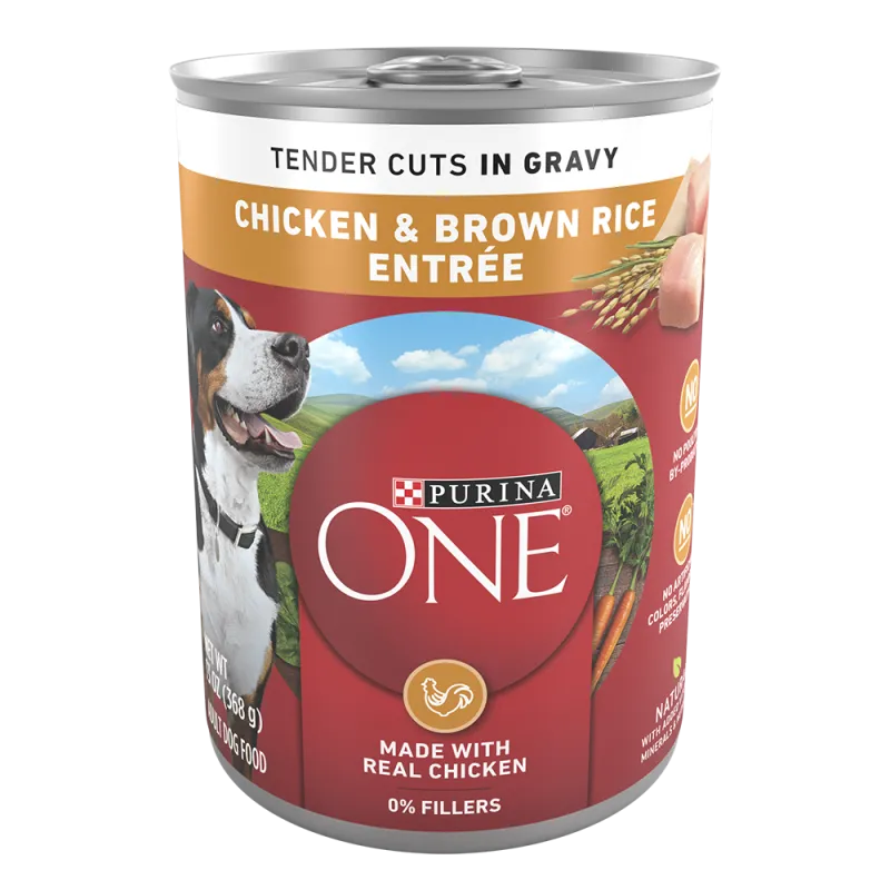 Purina ONE Chicken & Brown Rice Entrée Tender Cuts in Gravy Wet Dog Food