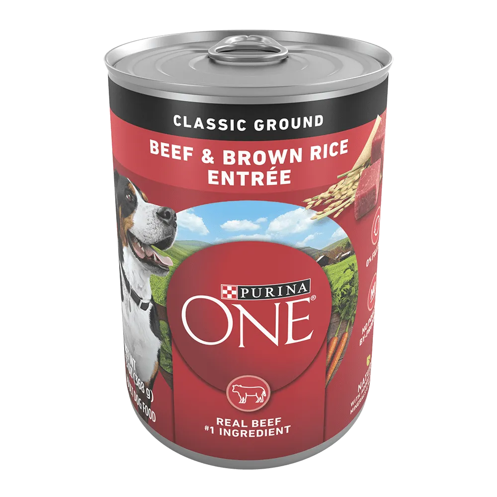Purina ONE Beef & Brown Rice Entrée Classic Ground Wet Dog Food 