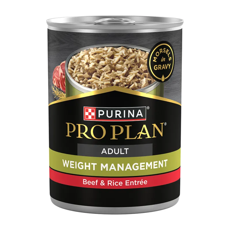 All Wet Dog Food Products Purina US