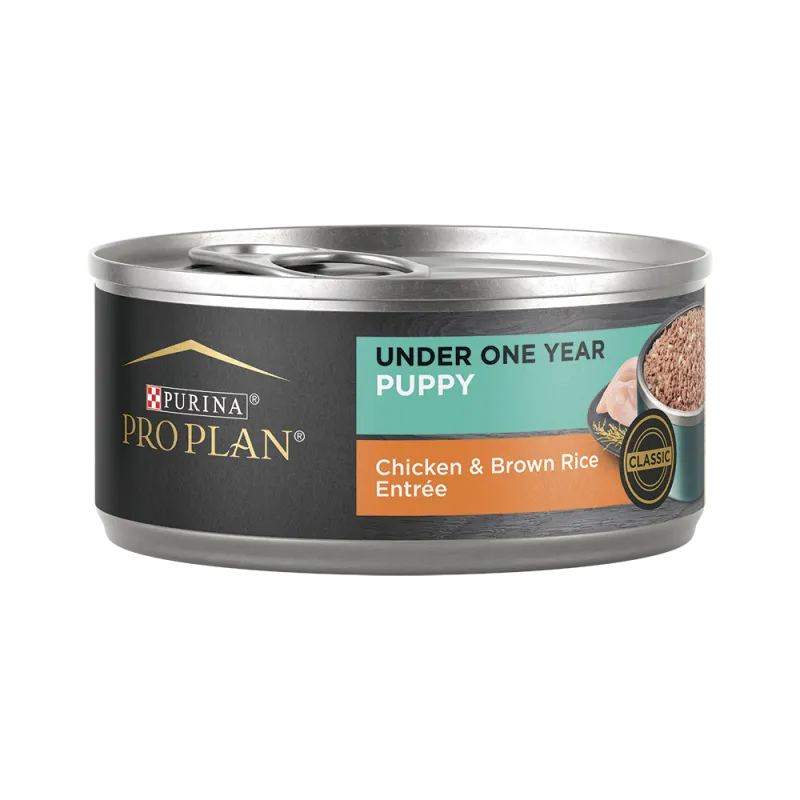 Pro Plan Development Puppy Chicken & Brown Rice Entrée Classic Wet Dog Food