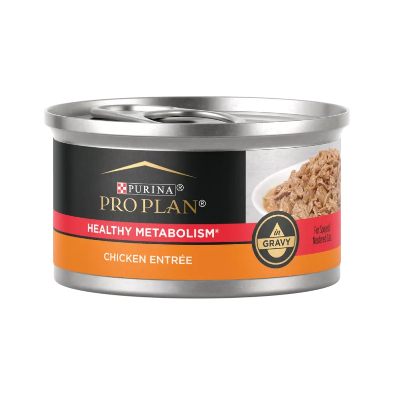 Pro Plan Healthy Metabolism Formula Chicken Entrée In Gravy Wet Cat Food