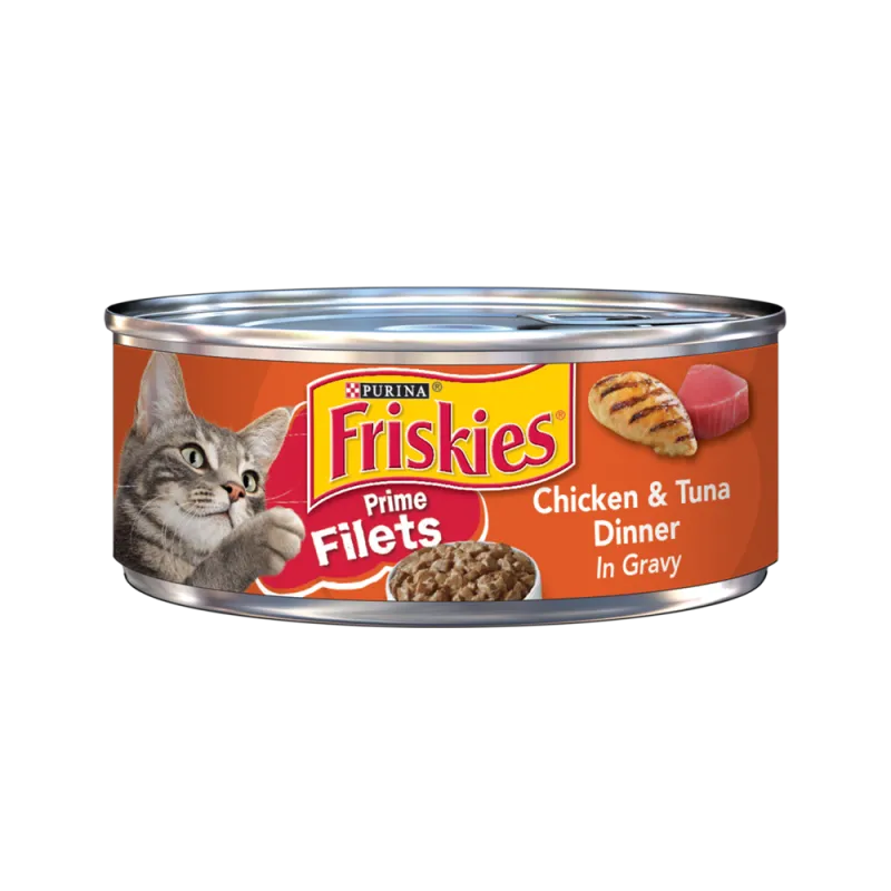 Types of wet cat food 2025