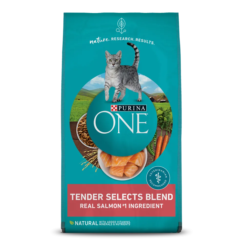 Purina ONE® Tender Selects Blend With Real Salmon Dry Cat Food 