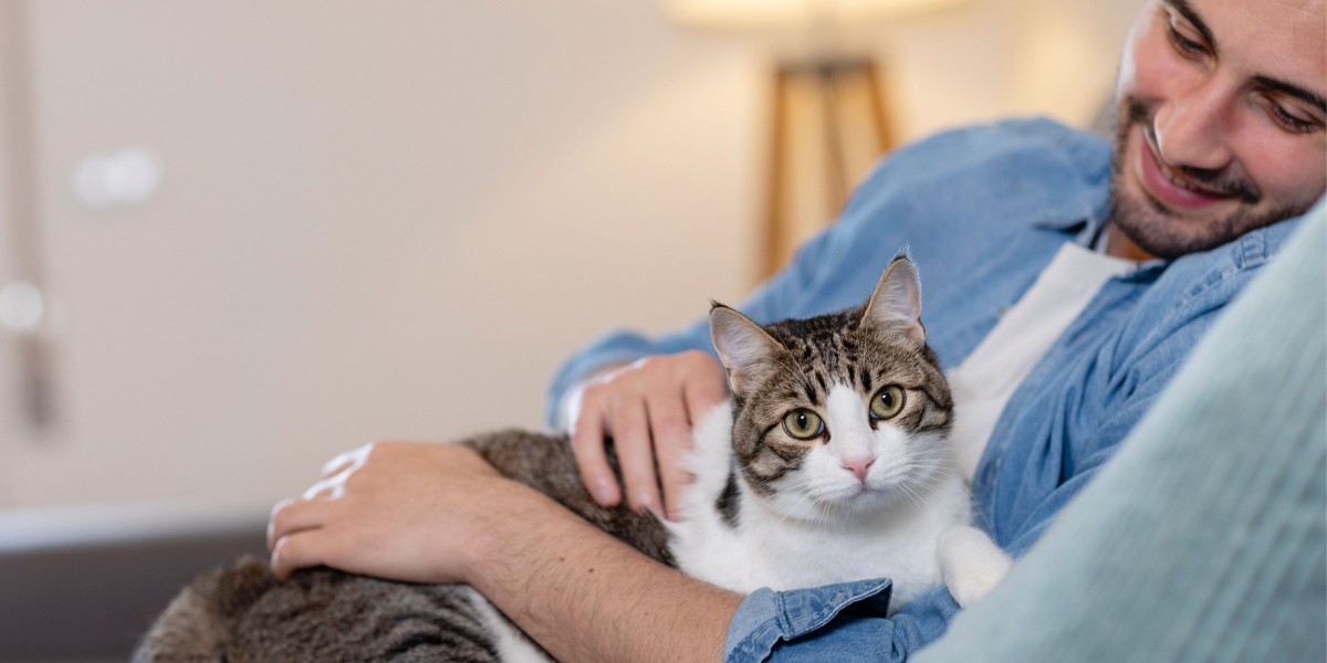 Do s and Don ts When Caring For You Cat Purina US