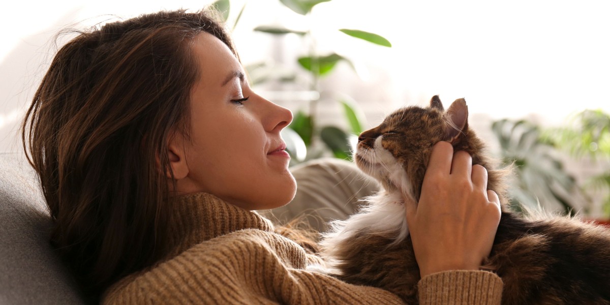 Best way to calm a cat sale