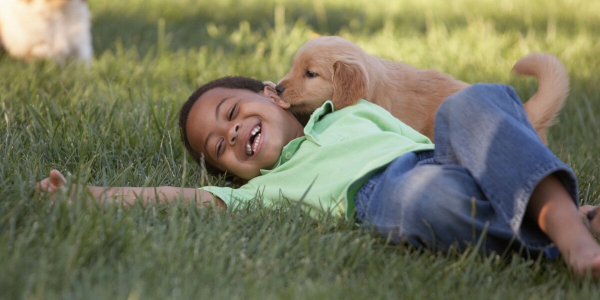Best kids getting dogs 2025