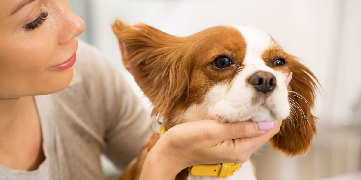 Natural ear mite remedy for dogs hot sale