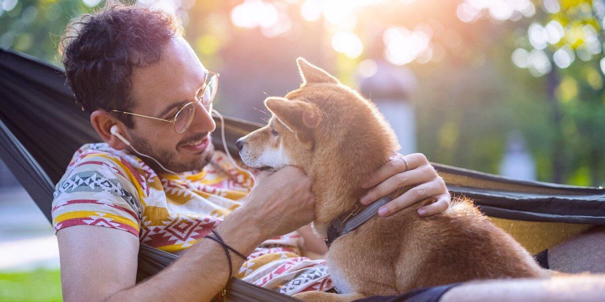 qué le sucede a un perro con la enfermedad de lyme