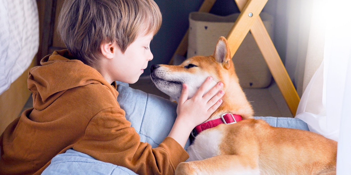 cuánto tiempo puede vivir un perro con prednisona con linfoma