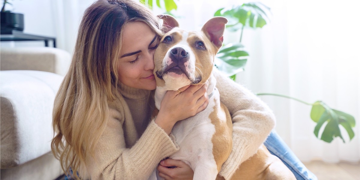 que le puedo dar a mi perra en celo para el dolor