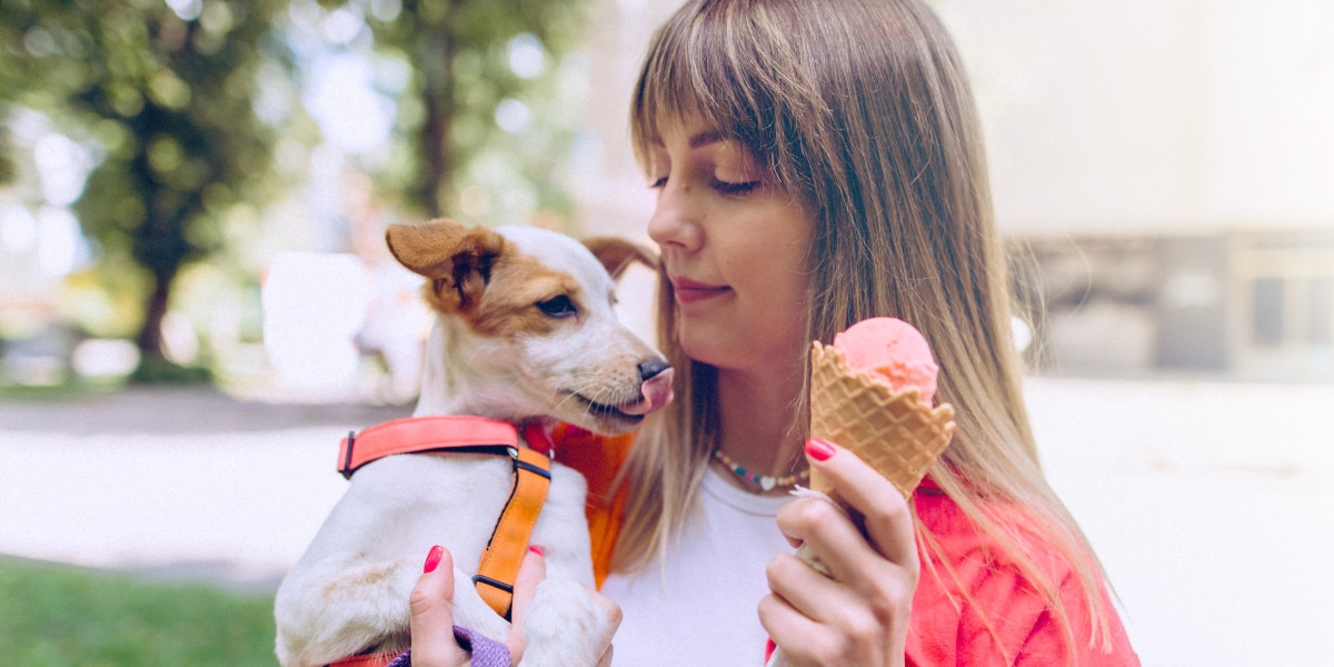 pueden los pies de los perros congelarse