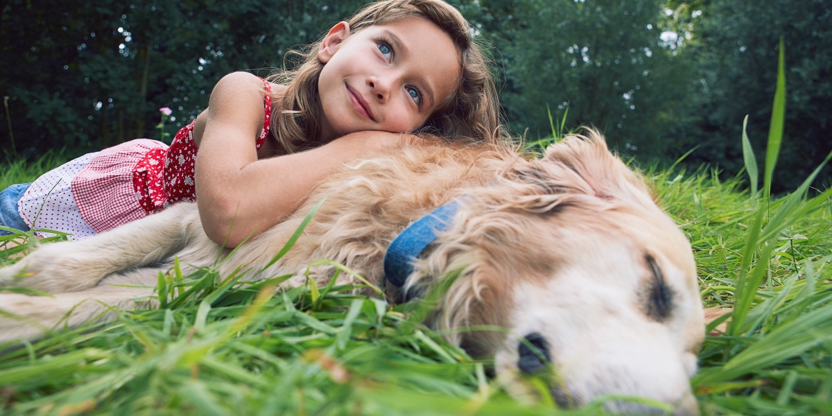 Are Lilies Toxic to Dogs? | Purina US